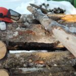 Chainsaw Course Alberta