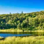 Ottawa Ontario Chainsaw Courses